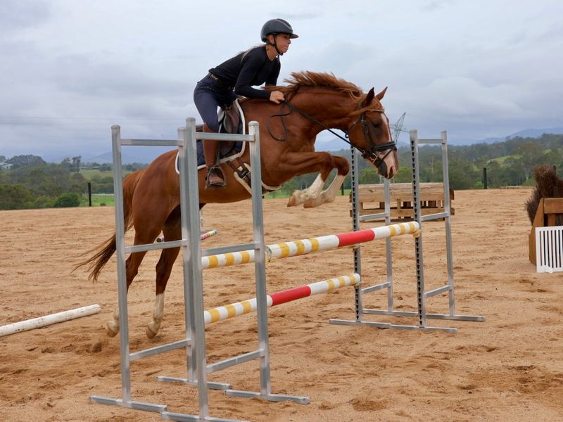 Teenager’s Future Showjumping Star or Hack