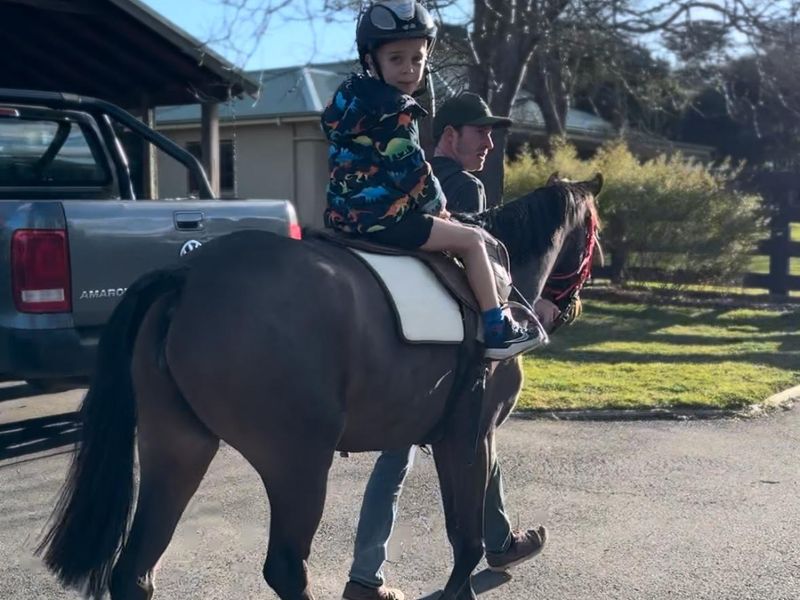 Outstanding Project Pony