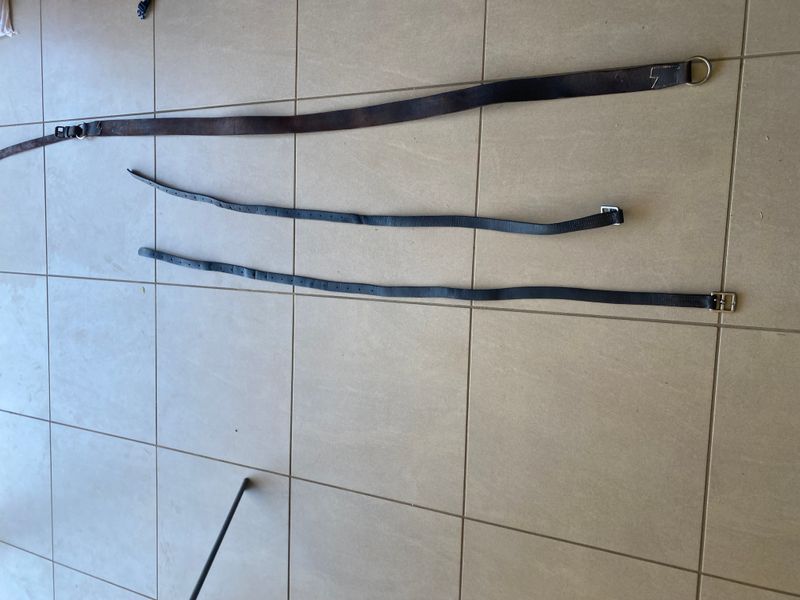 Sersingle and stirup leathers 