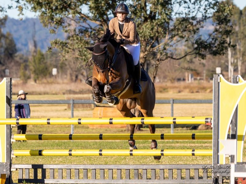 🌟 Serious Junior Young Rider + Prospect 🌟