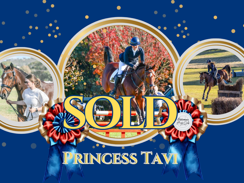 Princess Tavi - Outstanding 1*/ 115 SJ