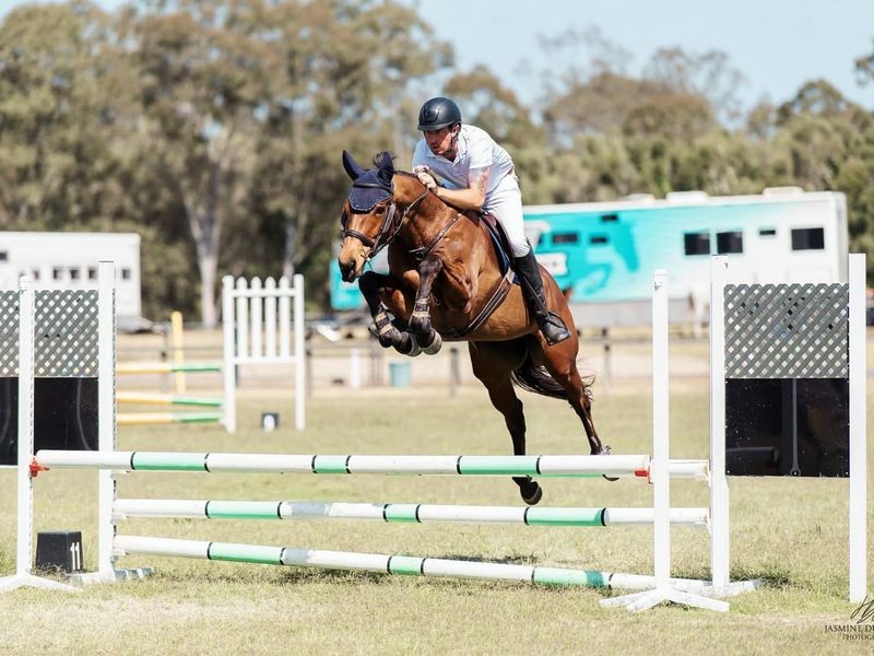 Talented, Competitive OTT Showjumper