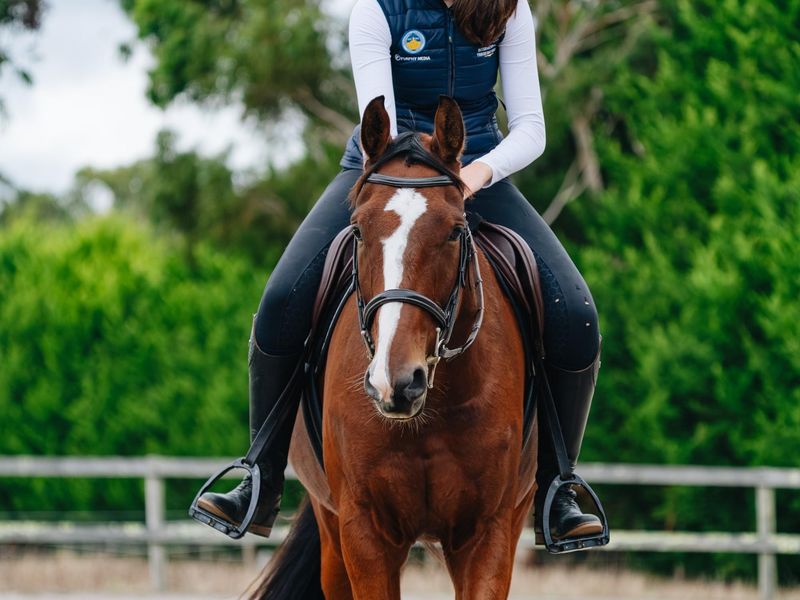 Talented Young WB with Top Level Potential