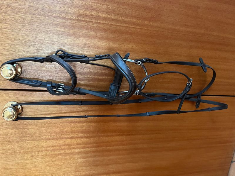 Bridle and saddle pad