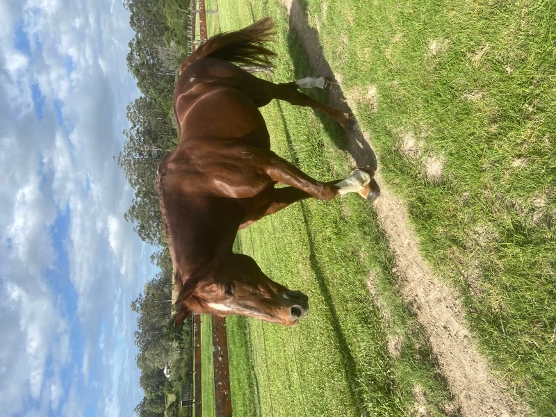 Ultimate confidence booster