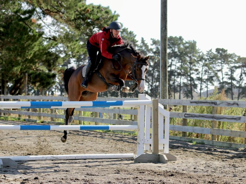 KIT KAT XTREME - Bred to Succeed!