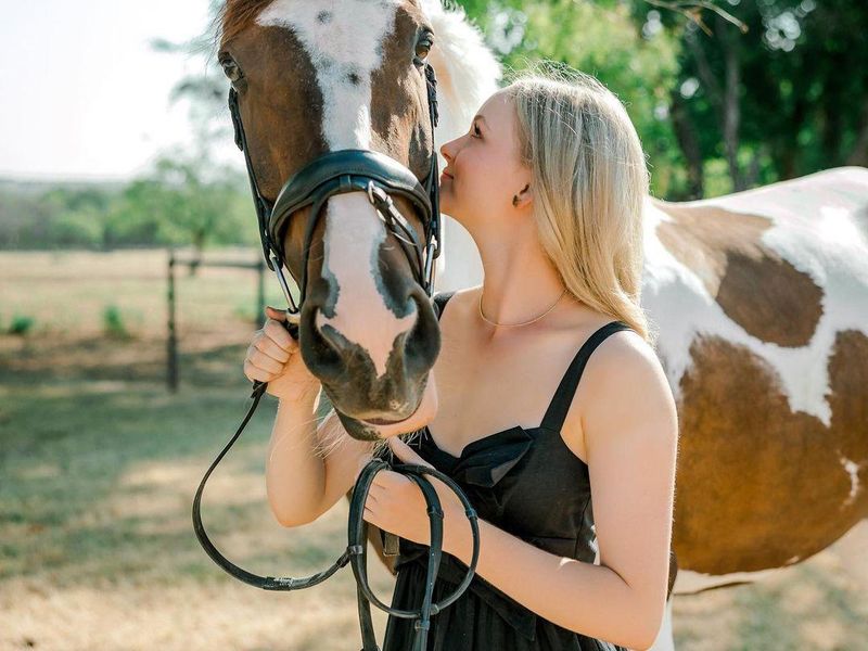 Athletic & Talented Eventer For Every Rider