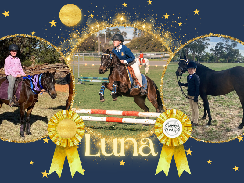 Luna - 2nd or 3rd pony allrounder for 