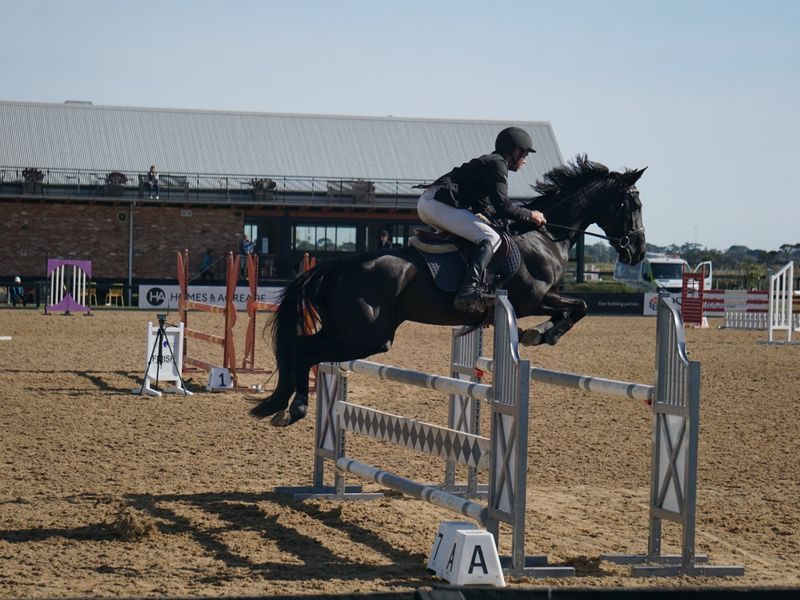 Ott Show Jumper / Eventer